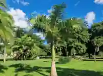 Botanischer Garten in Roseau auf Dominica