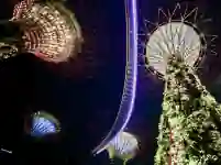 Beleuchtete Supertrees bei der Garden Rhapsody in Singapur