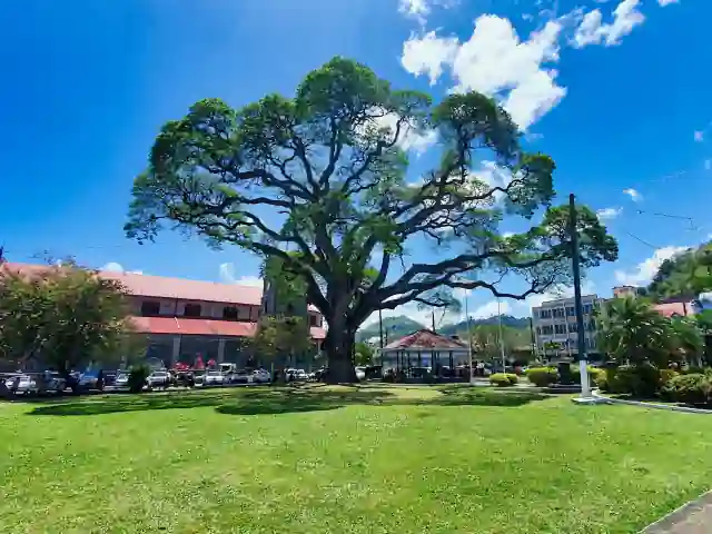 Derek Walcott Square