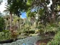 Parque García Sanabria in Santa Cruz de Tenerife