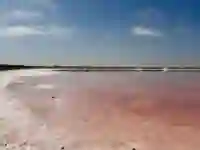 Rosa Salzsee bei Walvis Bay in Namibia