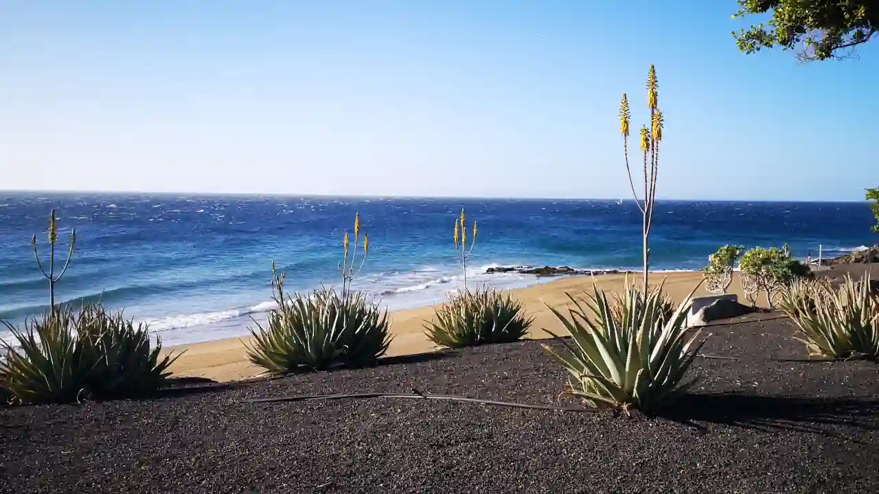 Vulkanlandschaft und Küste auf den Kanaren